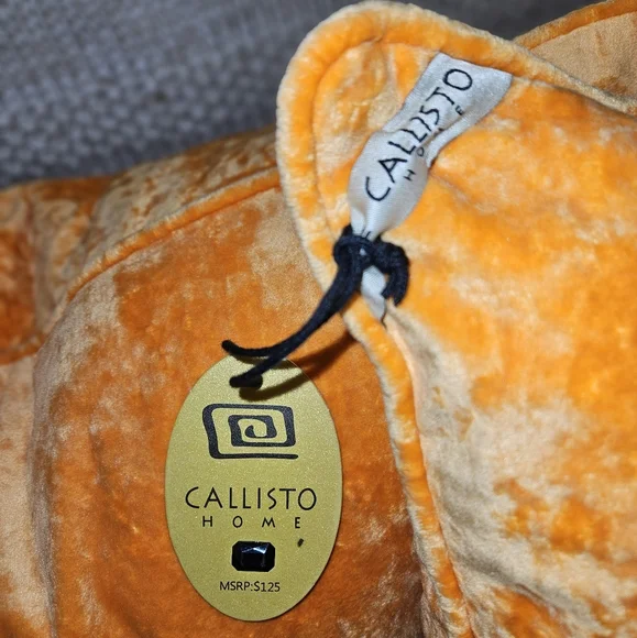 ONE - NWT Luxury Velvet Orange Oversized Throw Accent Pillow 24"x24"